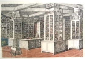 Riccobono collection